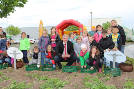 Kartoffellegen im Globus Mittelhausen Erfurt